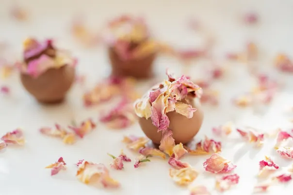 JokerBet Kasino Android/iOS aplikace